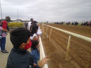 Indiana Grand Racing & Casino - photo 90