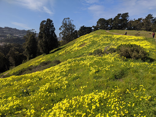 Park «John McLaren Park», reviews and photos, 100 John F Shelley Dr, San Francisco, CA 94134, USA