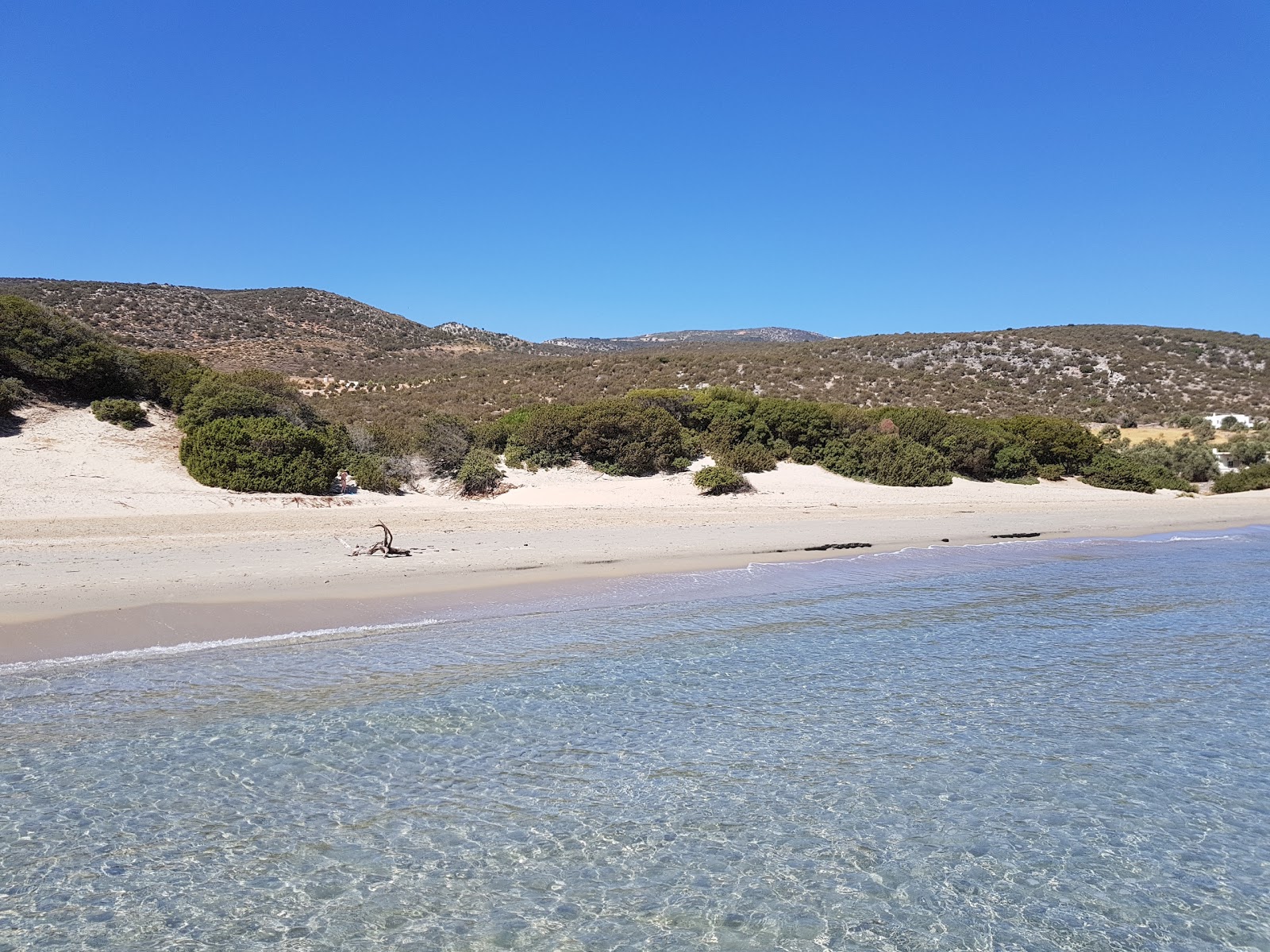 Foto de Playa de Psili Ammos ubicado en área natural