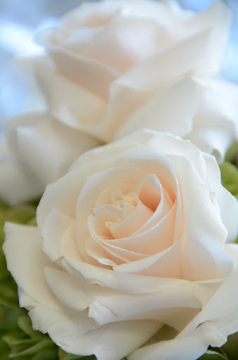 Florist «Royal Petals», reviews and photos, 188 E Wend St, Lemont, IL 60439, USA