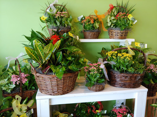 Florist «Flower Patch American Fork», reviews and photos, 101 NW State St #100, American Fork, UT 84003, USA