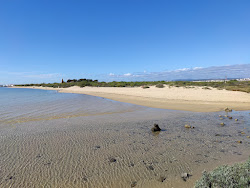 Φωτογραφία του Praia dos Tesos με μια ευρύχωρη ακτογραμμή
