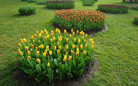 Fête de la Tulipe Morges image