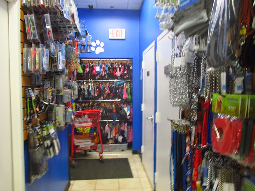 Pet Supply Store «Dawg City Inc.», reviews and photos, 38 Pearson St, Andover, MA 01810, USA
