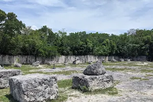 Windley Key Fossil Reef Geological State Park image