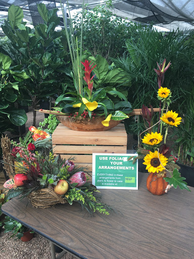 Florist «Westminster Flowers and Gifts», reviews and photos, 8000 N Federal Blvd, Westminster, CO 80031, USA