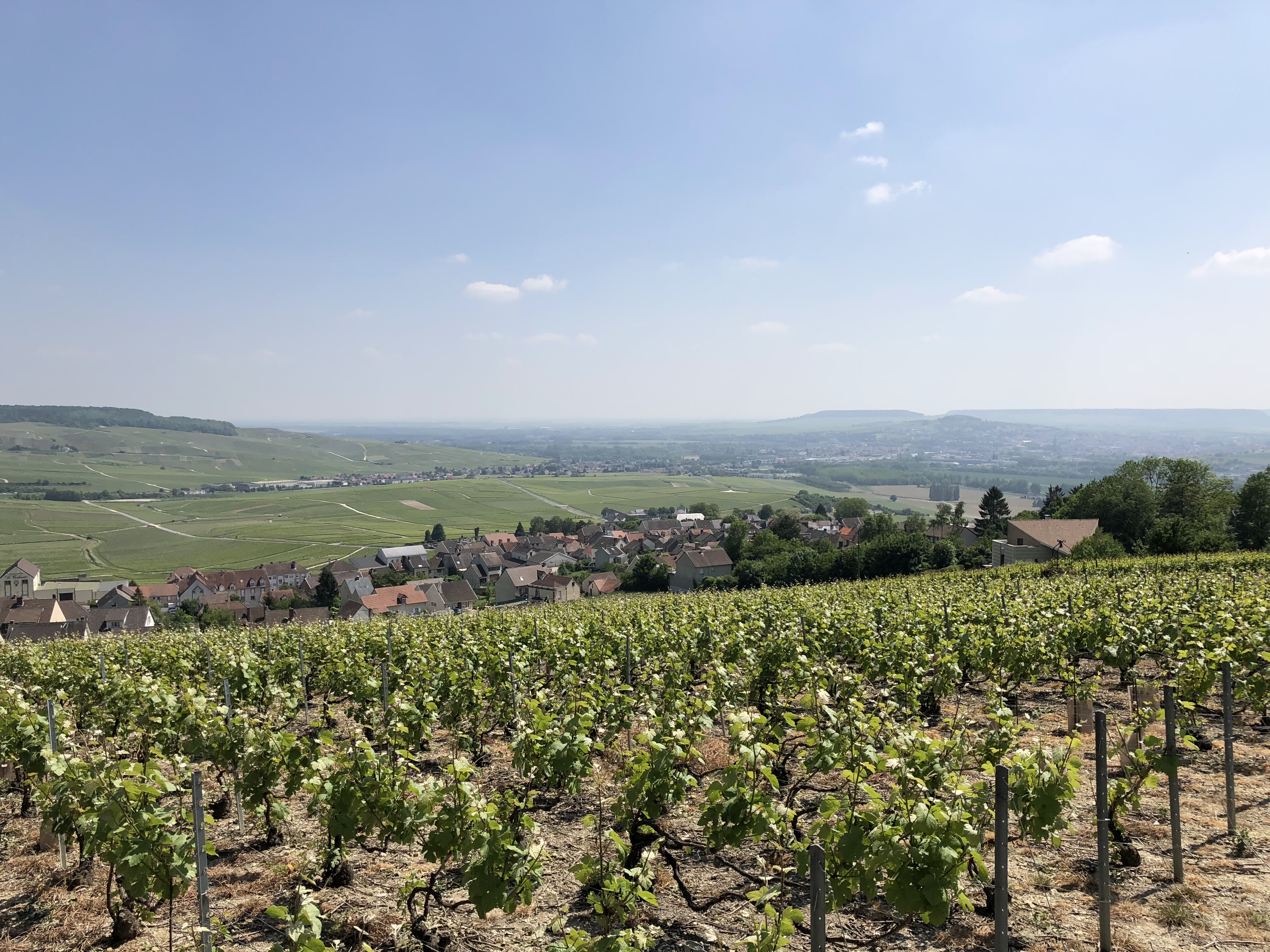 Photo n° 2 de l'avis de Vitaly.o fait le 24/05/2018 à 09:37