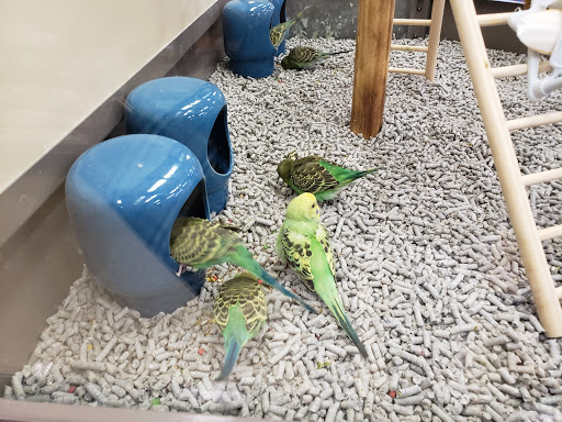 Pet Supply Store «Petco Animal Supplies», reviews and photos, 645 S Green Valley Pkwy, Henderson, NV 89052, USA