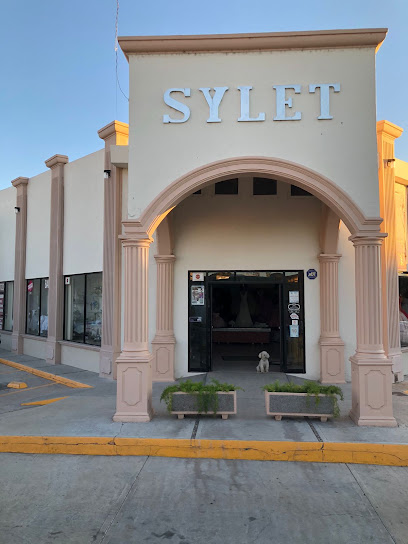 Cruella Renta de vestidos en Chihuahua