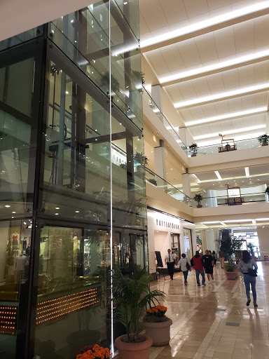 Apple Fashion Island image