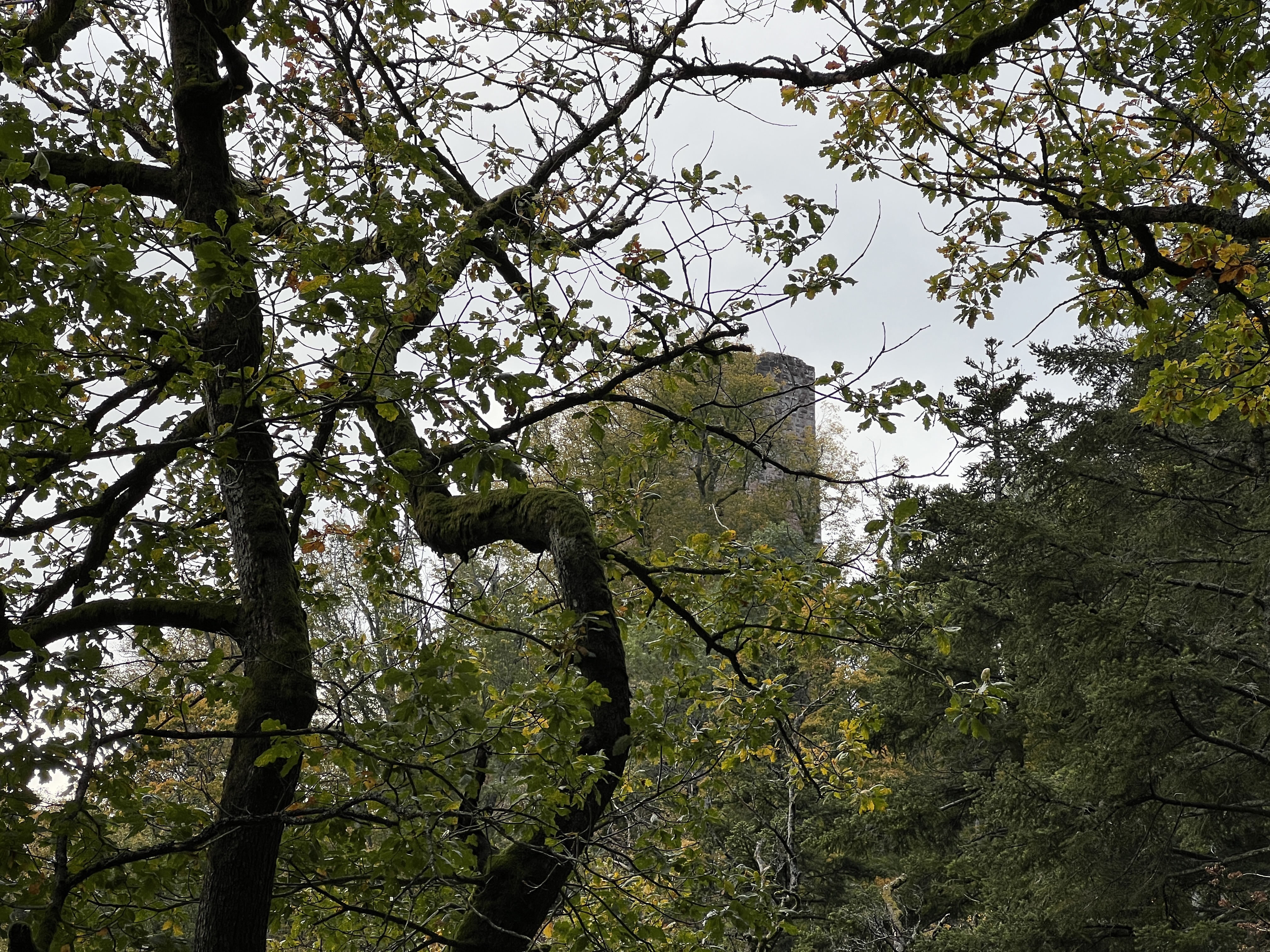 Photo n° 8 de l'avis de Ricardo.o fait le 23/10/2021 à 17:28