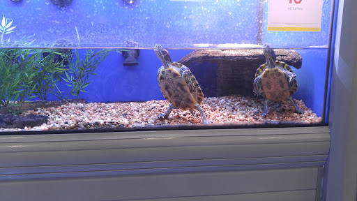 Pet Supply Store «PetSmart», reviews and photos, 2140 17th St, Santa Ana, CA 92705, USA