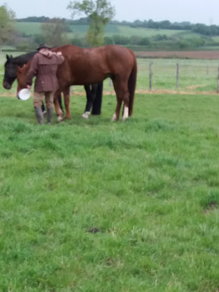 Photos des visiteurs hôtels Residence Boticotch 36340 Maillet