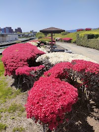 筑後川くるめつつじ園