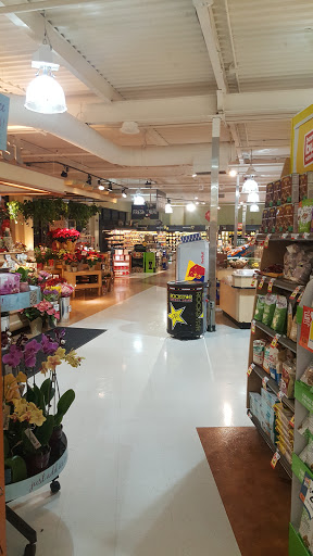 Grocery Store «Peapod by GIANT Food Stores», reviews and photos, 10 E Ridge Pike, Conshohocken, PA 19428, USA