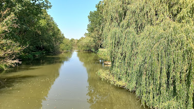 Bois des Laves à La Taillée