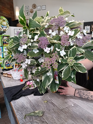 Florist «Forest Lake Floral, Gift & Garden», reviews and photos, 508 Lake St S, Forest Lake, MN 55025, USA