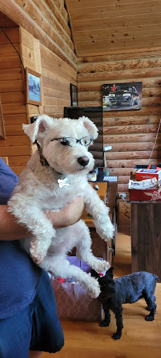 Langston Veterinary Clinic image
