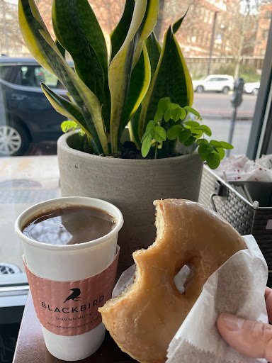 Donut Shop «Blackbird Doughnuts», reviews and photos, 492 Tremont St, Boston, MA 02116, USA