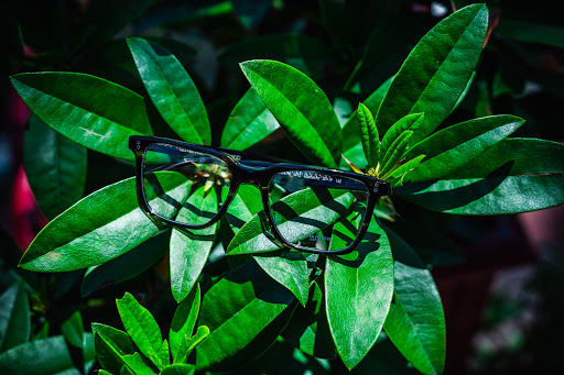 Eye Care Center «Levato Eyewear», reviews and photos, 21 Oak St, Ridgewood, NJ 07450, USA