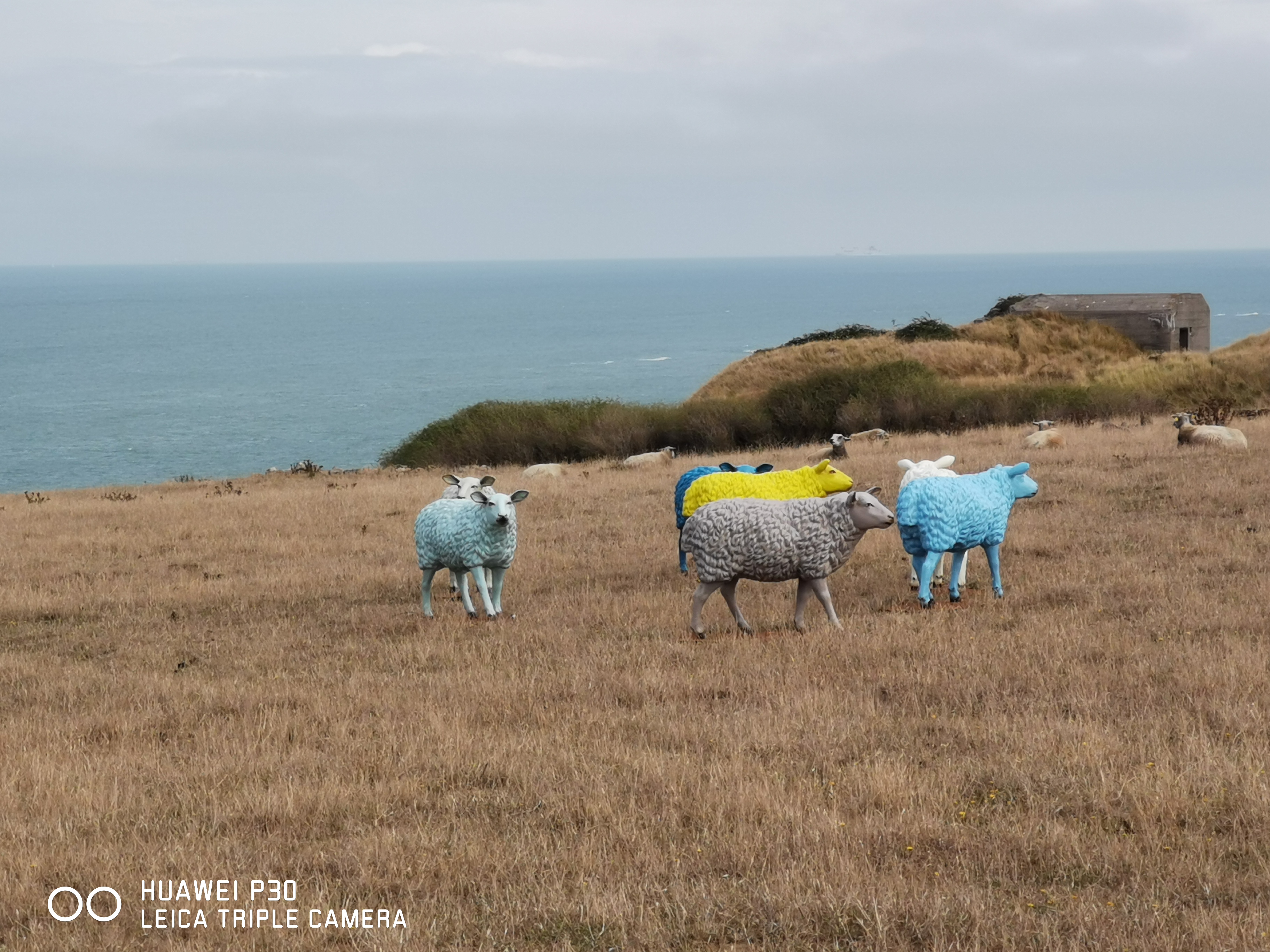 Photo n° 3 de l'avis de Michael.h fait le 21/08/2022 à 13:41