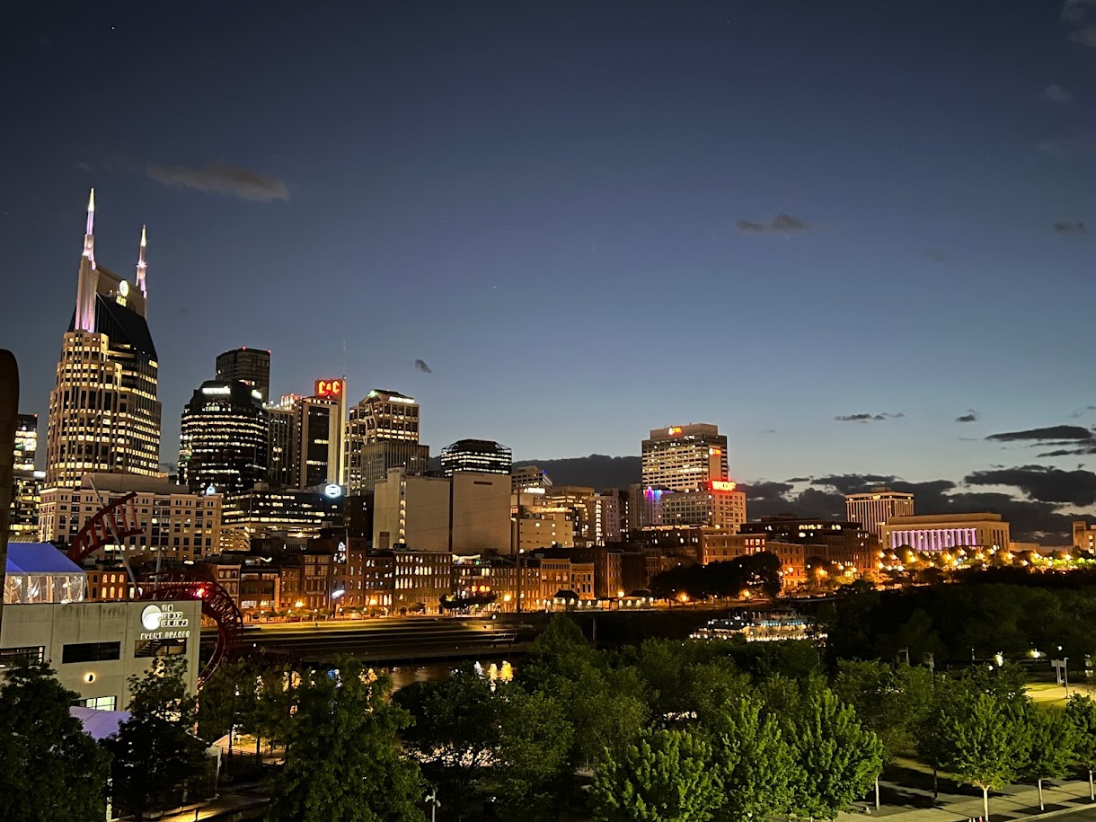 Nashville Skyline View 1