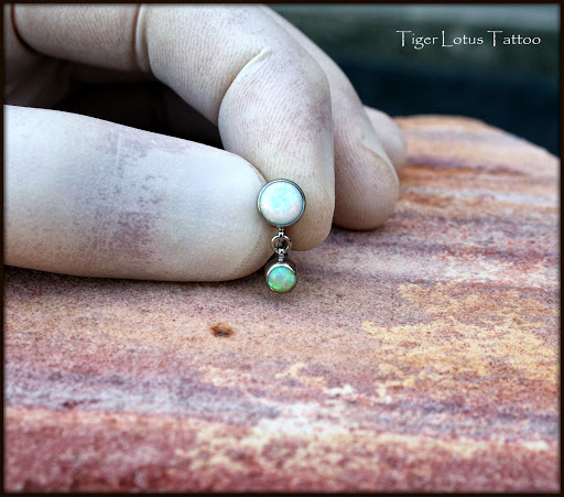 Tattoo Shop «Tiger Lotus Tattoo and Piercing», reviews and photos, 17230 S Tamiami Trail, Fort Myers, FL 33908, USA