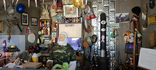 Frozen Yogurt Shop «Arctic Ape Wild Desserts», reviews and photos, 5221 Walzem Rd Suite 1, San Antonio, TX 78218, USA