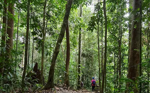 Bukit Patoi Recreational Park image