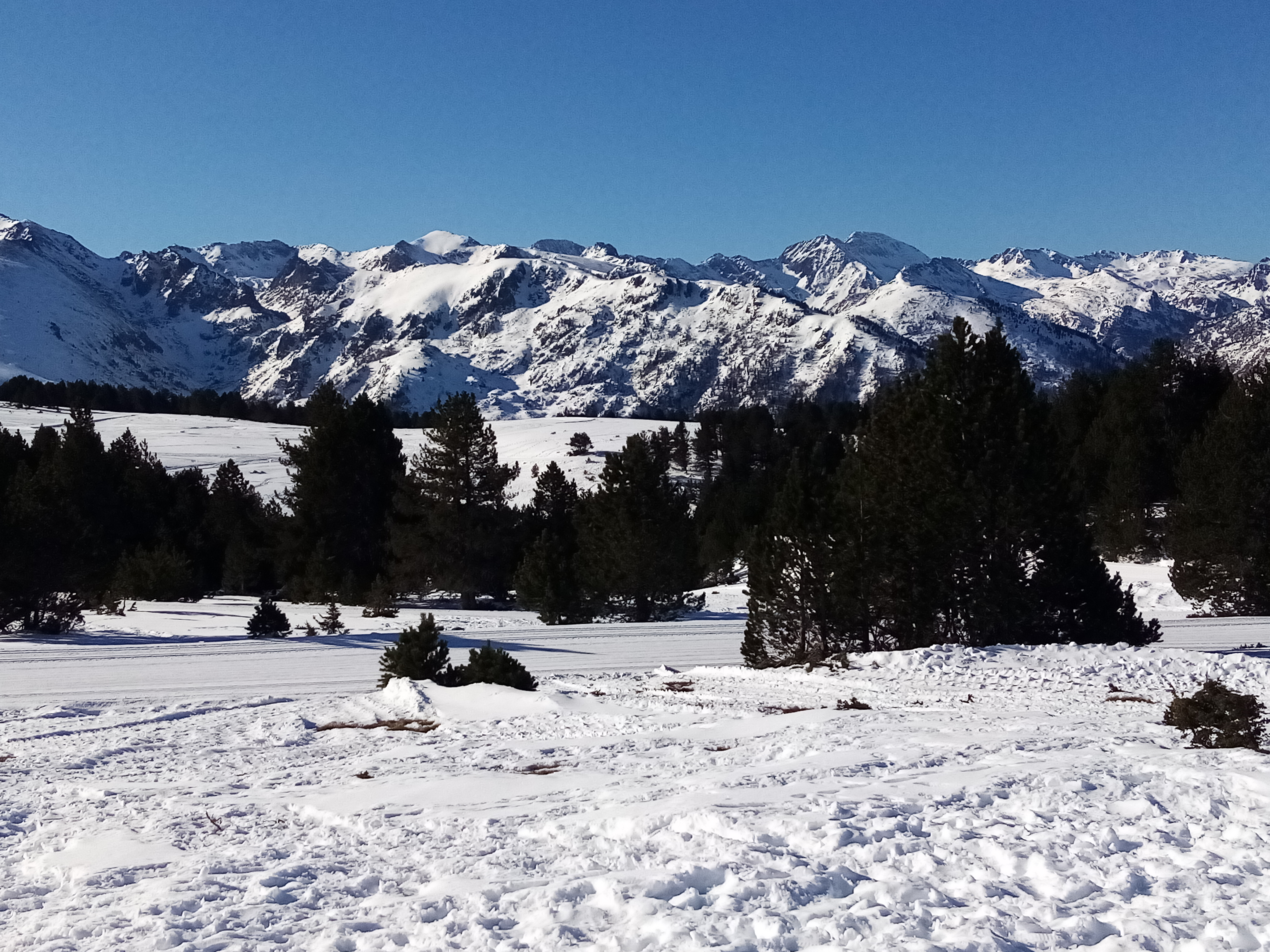 Photo n° 4 de l'avis de Martin.e fait le 17/02/2023 à 20:32