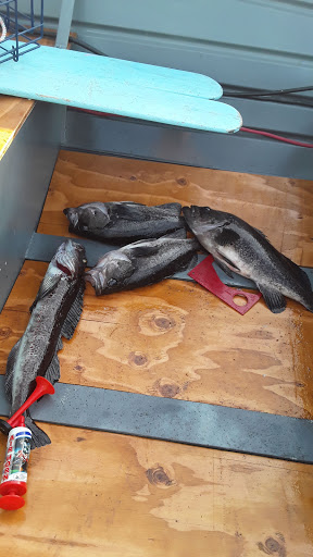 Sporting Goods Store «Rogue Outdoor Store», reviews and photos, 29865 Ellensburg Ave, Gold Beach, OR 97444, USA