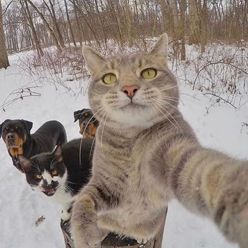 Movie Theater «Marcus South Shore Cinema», reviews and photos, 7261 South 13th Street, Oak Creek, WI 53154, USA