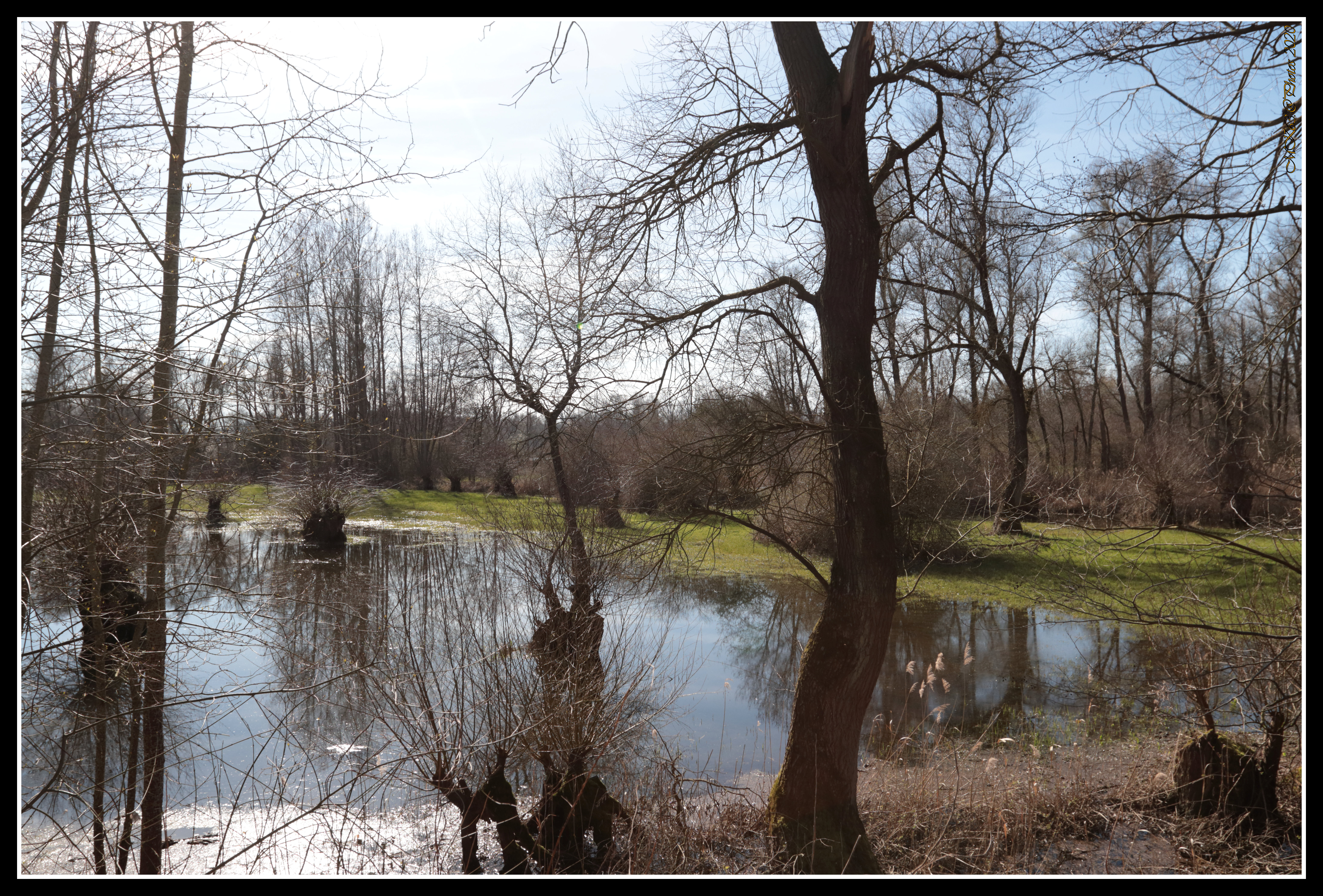 Photo n° 4 de l'avis de Michel.e fait le 15/03/2020 à 19:04