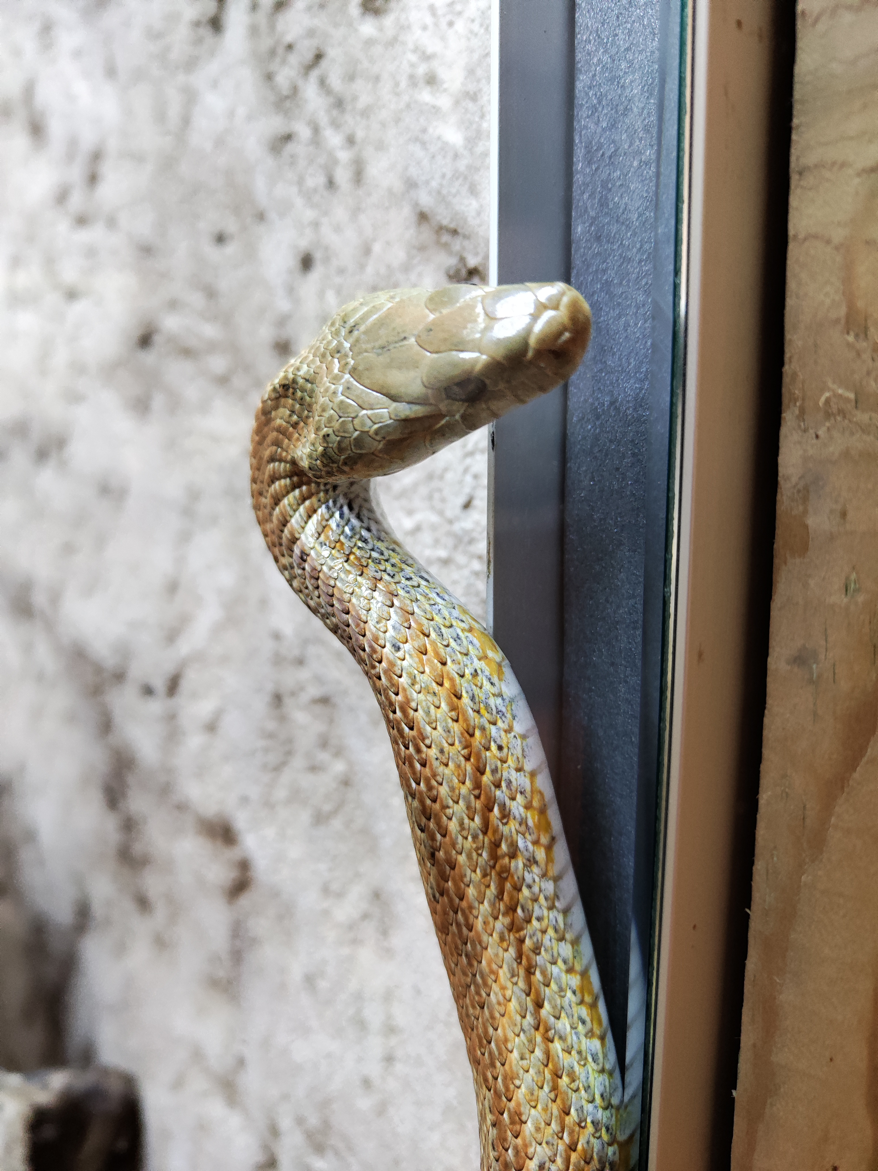 Photo n° 3 de l'avis de Sébastien.o fait le 03/09/2022 à 19:11