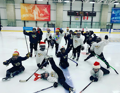 Tri Cities Female Ice Hockey Association
