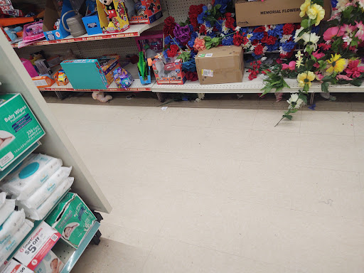 Dollar Store «FAMILY DOLLAR», reviews and photos, 26472 FM 2090, Splendora, TX 77372, USA