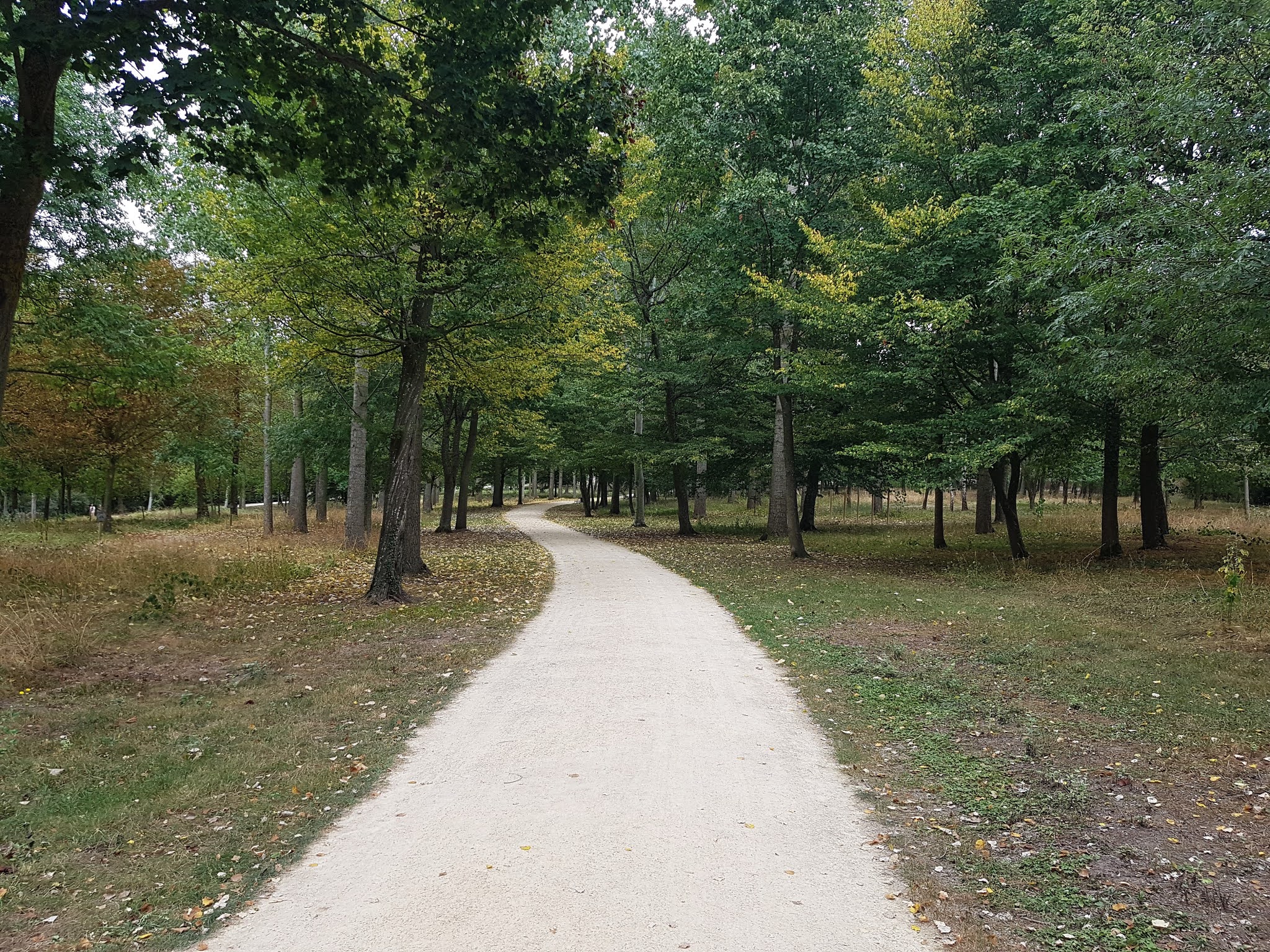 Photo n° 4 de l'avis de Nicolas.H fait le 18/08/2020 à 19:37