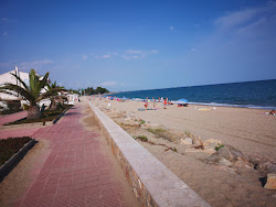 Foto di Platja de la Porquerola con costa lunga e dritta