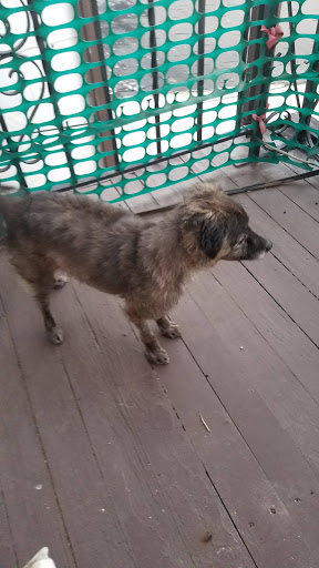 Schwenksville Veterinary Hospital