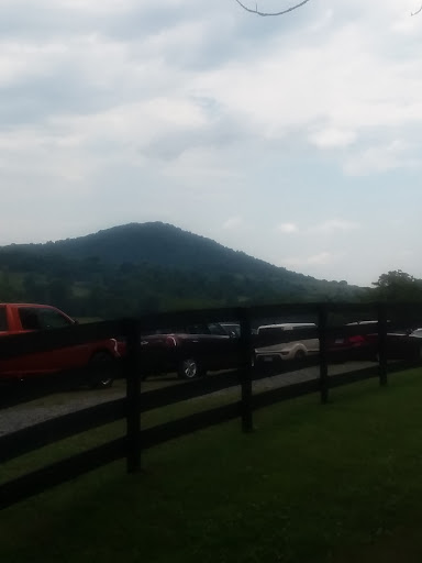 Ranch «The Marriott Ranch Bed and Breakfast», reviews and photos, 5305 Marriott Ln, Hume, VA 22639, USA