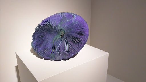 Museum «Museum of Fine Arts, Houston», reviews and photos, 1001 Bissonnet St, Houston, TX 77005, USA