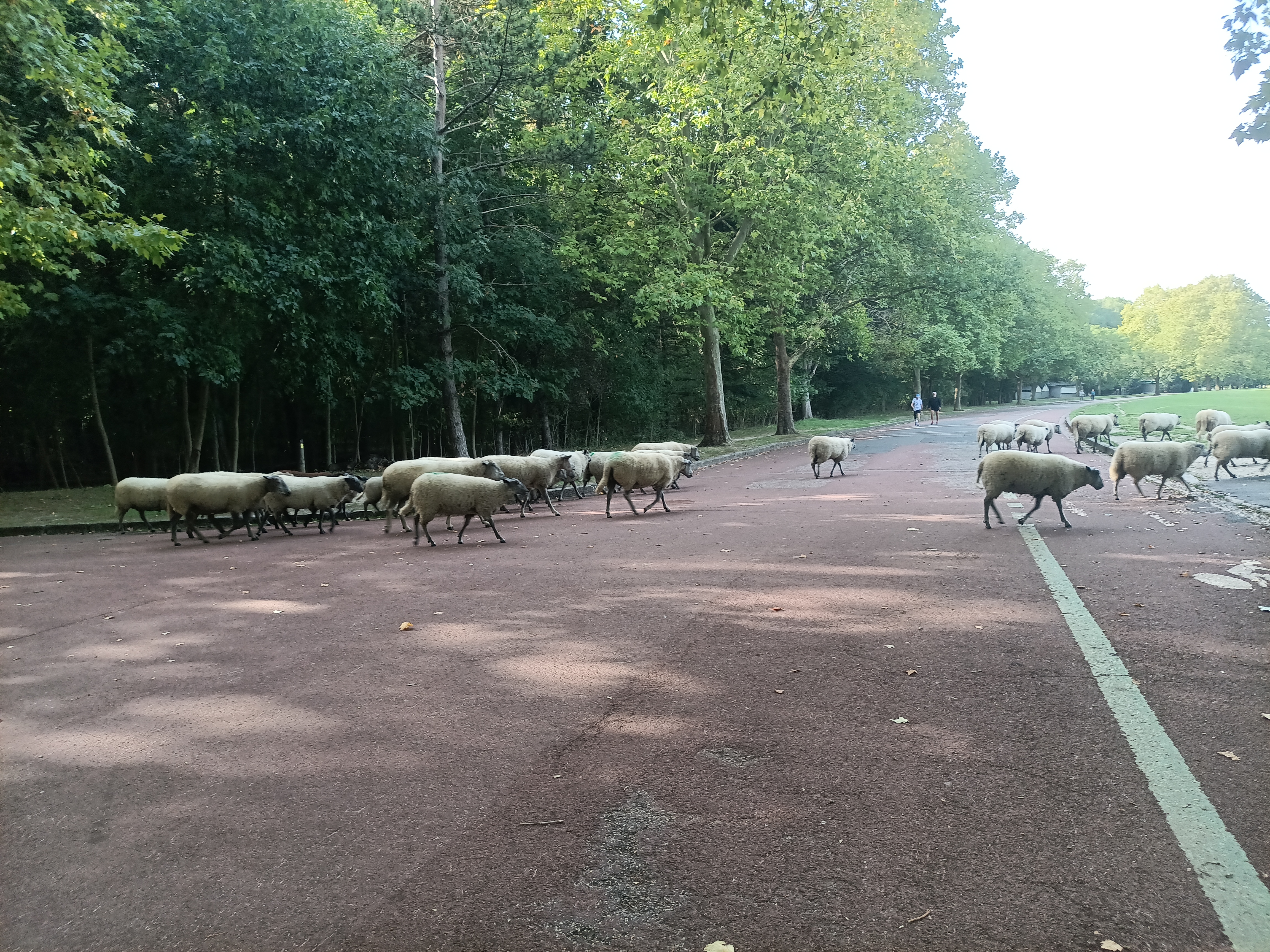Photo n° 7 de l'avis de ini.e fait le 29/07/2023 à 12:14