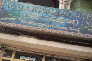 Aquarium House (rangeen machhali ghar) image