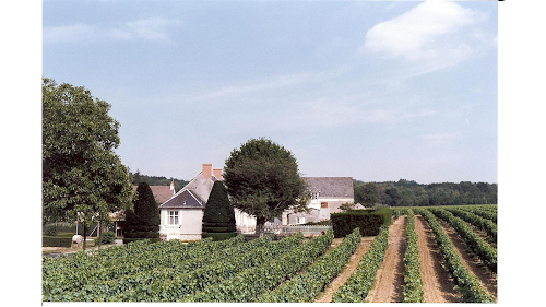 Magasin de vins et spiritueux DOMAINE DES OUCHES Coteaux-sur-Loire
