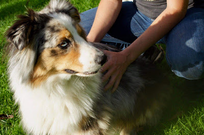 Aurore Defienne - Ostéopathe pour animaux à Moult-Chicheboville