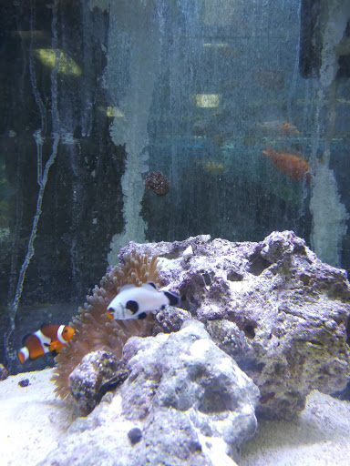 Pet Store «Whiskers Wings And Wild Things», reviews and photos, 1200 30th St NW, Canton, OH 44709, USA