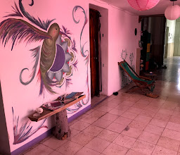 Akasha Hostel photo