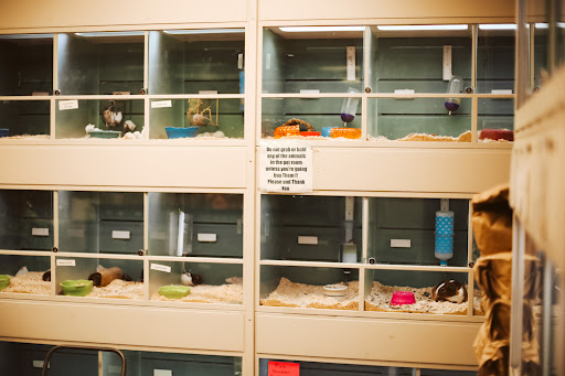 Animal Feed Store «Russell Feed & Supply», reviews and photos, 1312 NW Pkwy St, Azle, TX 76020, USA