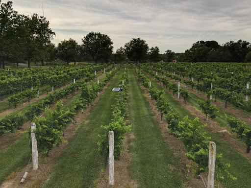 Wine Store «Nassau Valley Vineyards-Winery», reviews and photos, 32165 Winery Way, Lewes, DE 19958, USA