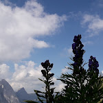 Photo n°5 de l'avis de Nicolò.a fait le 09/08/2018 à 10:19 sur le  Rifugio Padon 2.407 m à Rocca Pietore